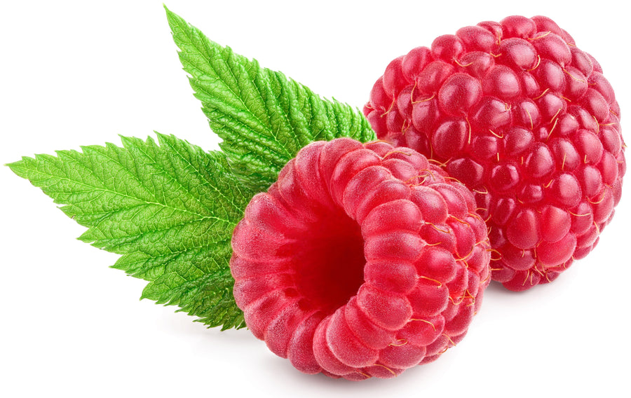 close up image of 2 Red Raspberry on white background with leaves