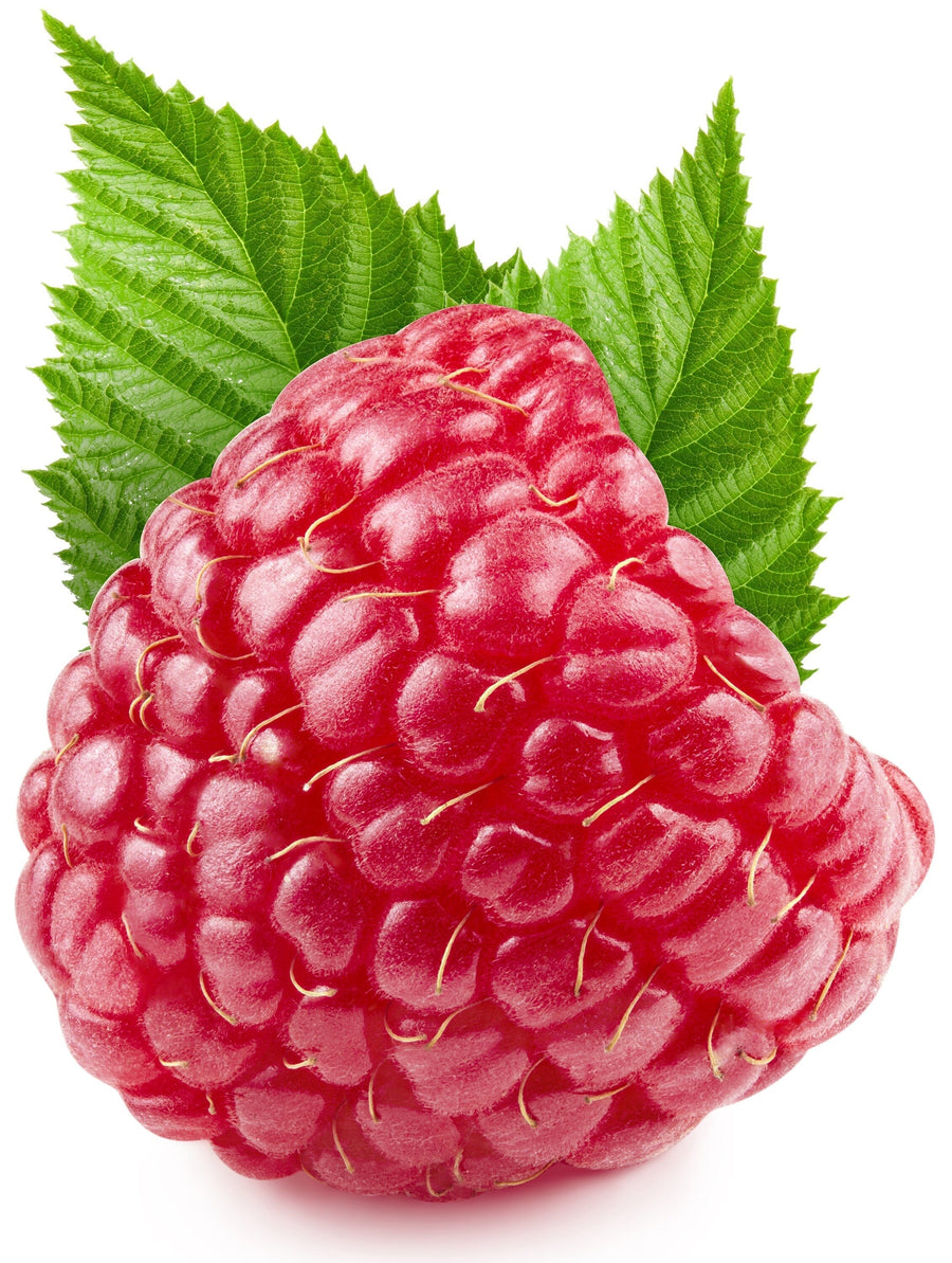 Closeup image of Raspberry on white background.