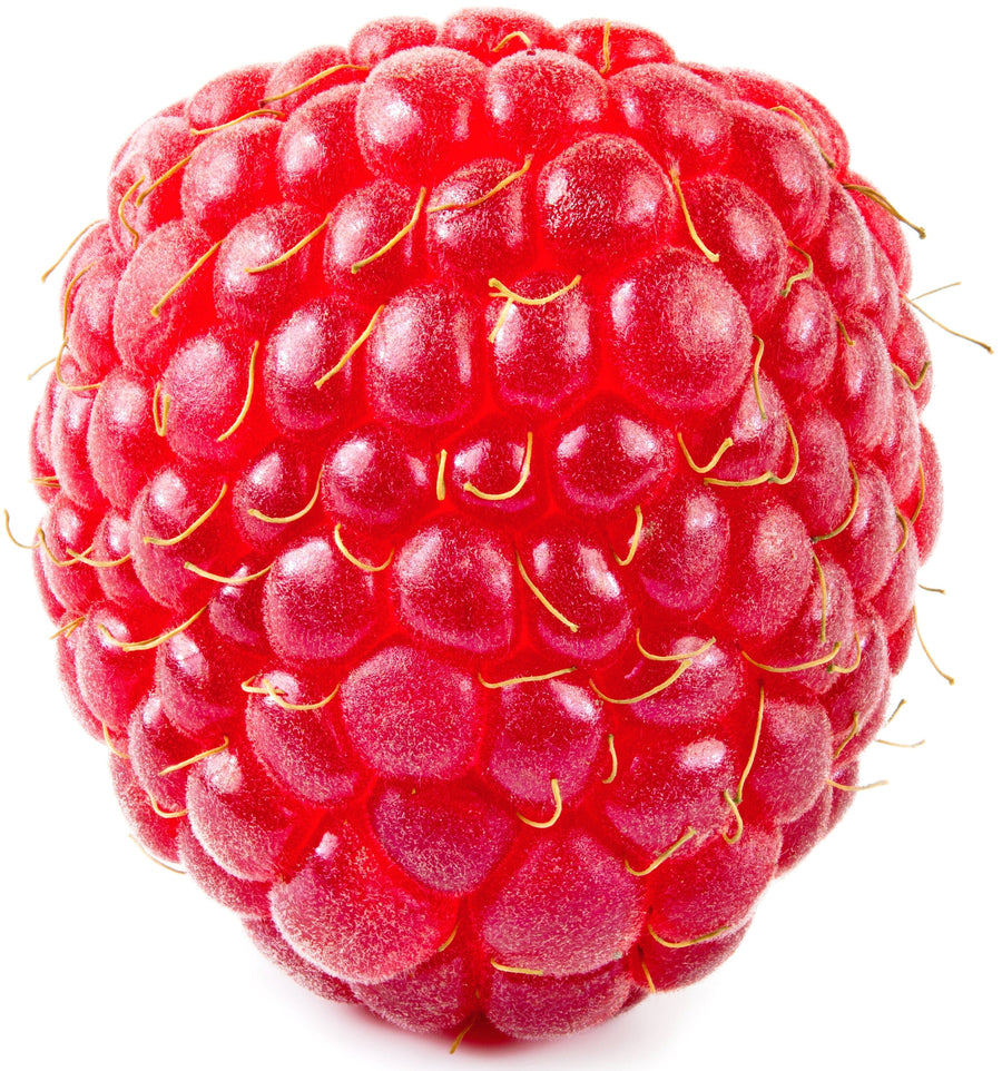 Closeup image of Raspberry on white background.