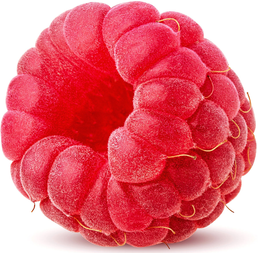Closeup image of cored Raspberry on white background.