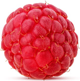 Closeup image of Raspberry on white background