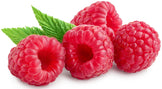 Closeup image of four cored Raspberries with two leaves in background.