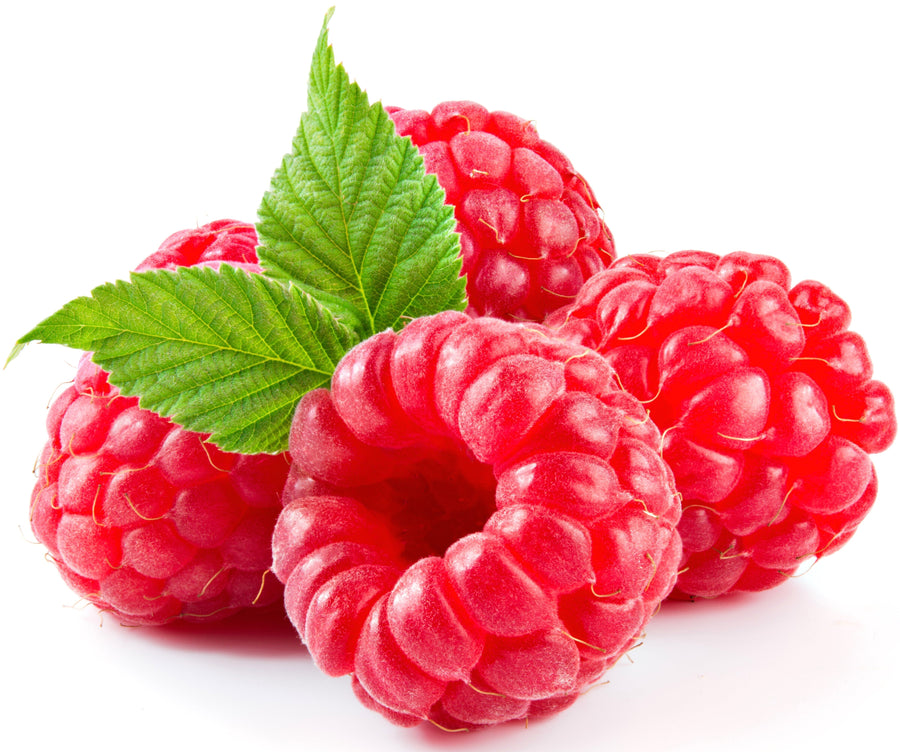 Red Raspberries sitting on white background image