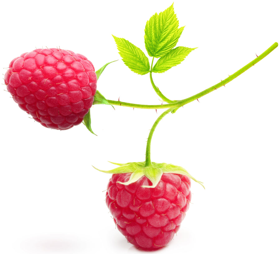 Red Raspberries sitting on white background image with green leaf's and stem