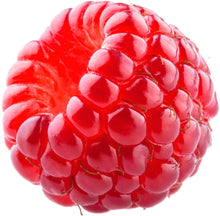Red Raspberry sitting on white background image