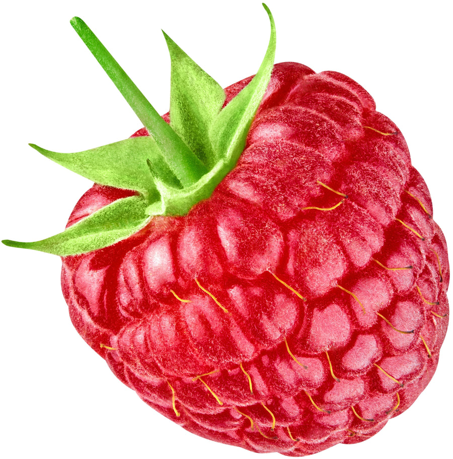 close up image of 1 Red Raspberry on white background