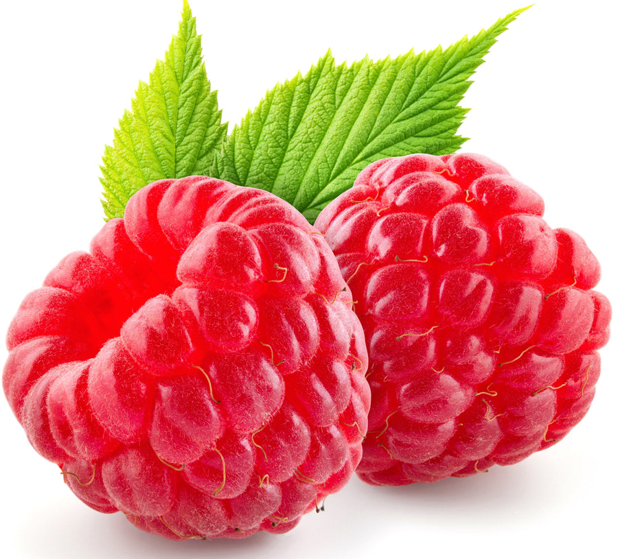 close up image of 2 Red Raspberry on white background with 2 green leaves