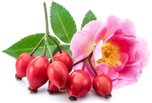 Rose Hip berries on white background with pink flower and green leaves