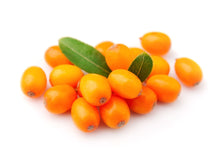 Photo of Sea Buckthorn berries with 2 green leaves