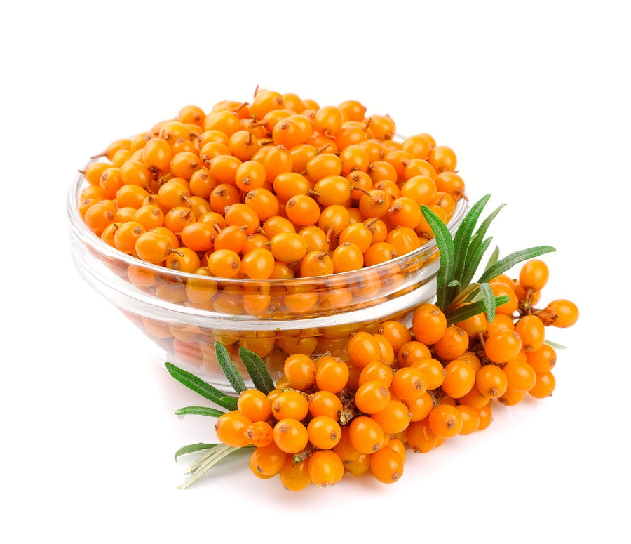 Image of glass bowl containing Sea Buckthorn berries, with a stem and leaves with Seabuckthorn berries in front.  - Organic Fruit Powders Z Natural Foods 