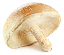 Image of a fresh Shiitake Mushroom