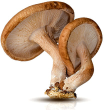 Image of 2 fresh Shiitake Mushrooms