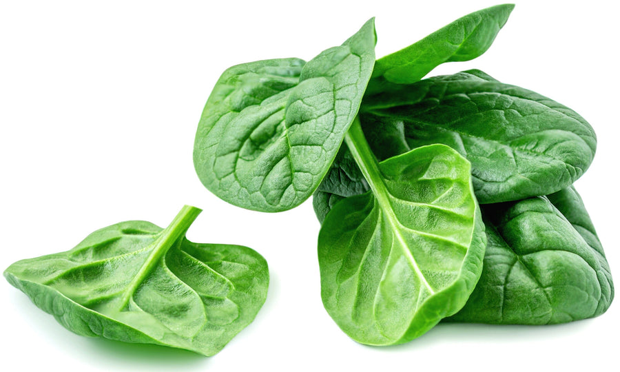 Spinach leaf's piled together on white background