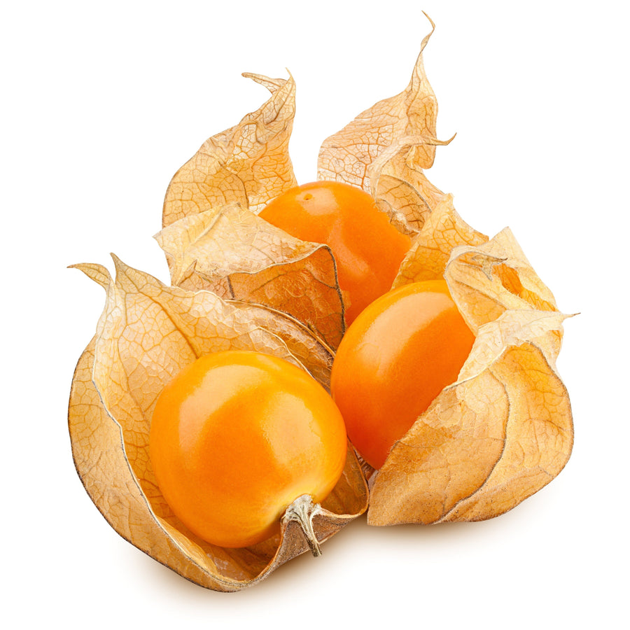 Image of three whole Golden Berries in husk on white background