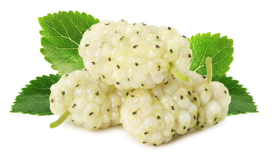 White Mulberries on white background with green leaf 