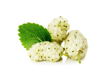 White Mulberries on white background with green leaf