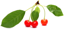 3 cherries on stem with 4 green leaves