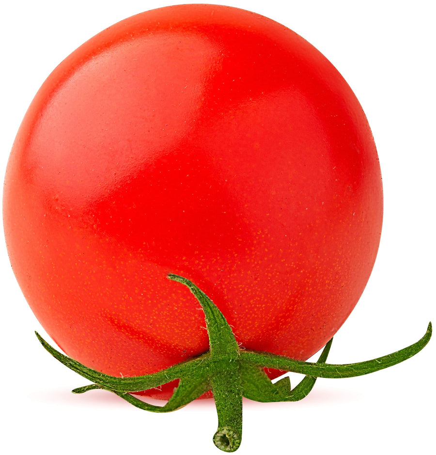 Tomato laying on its green stem