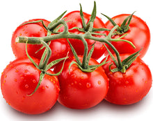 Image of 6 Tomatoes on vine on white background