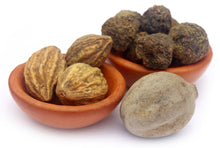 Closeup image of actual whole raw fruits used in making Triphala, Amla, Harada, and Behada
