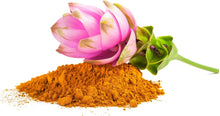 Image of Curcumin Extract Powder with Curcuma flower in the background