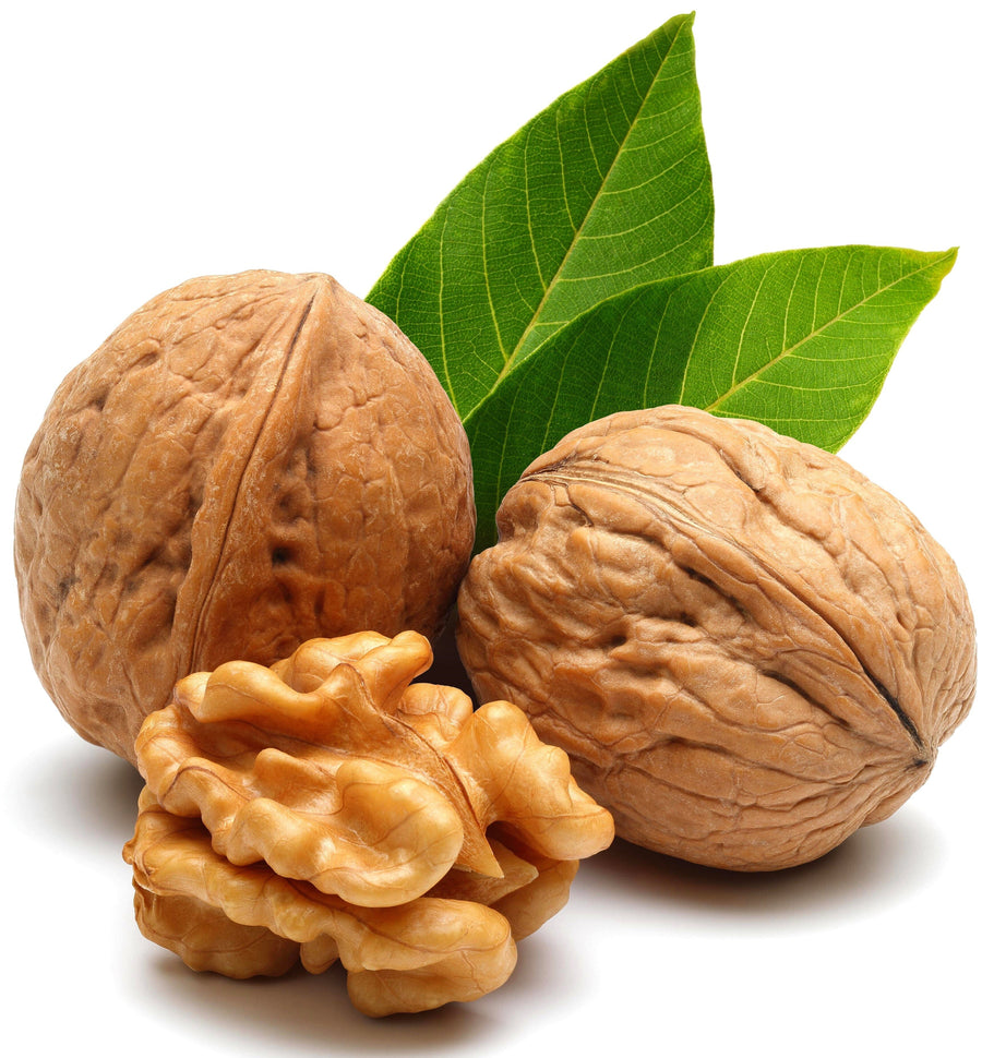 Image of Walnut with two walnut kernels in the background.