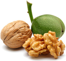 Image of Walnut halves with walnut kernel and unripe walnut fruit behind it.