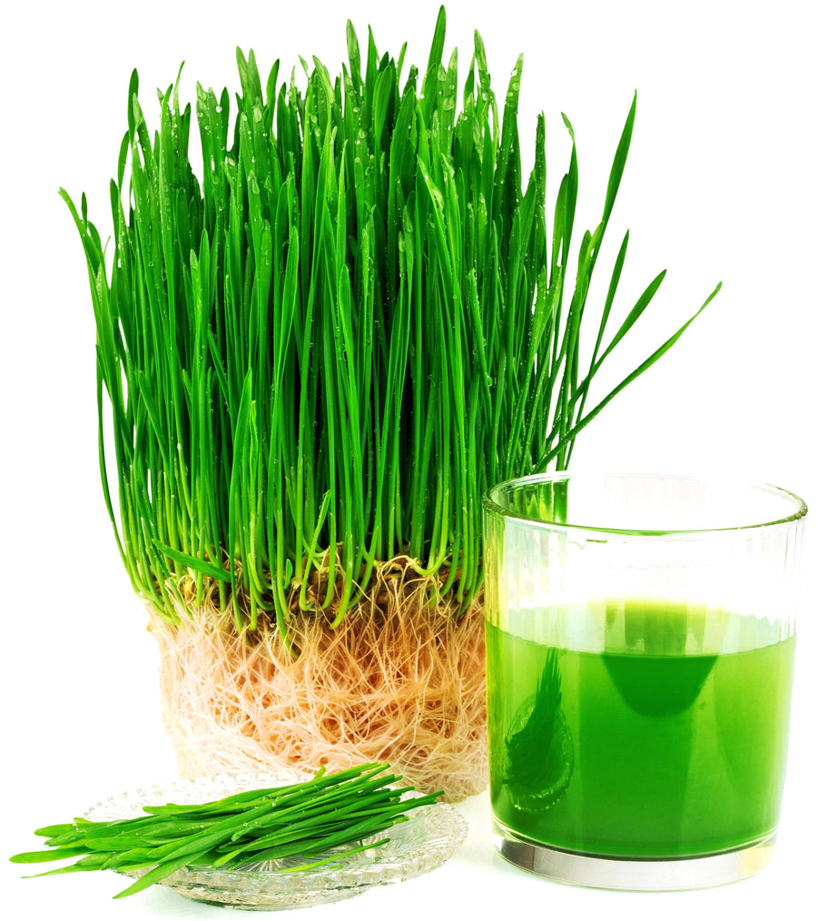Image of fresh Wheatgrass Juice and wheatgrass