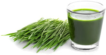 Image of fresh wheatgrass and wheatgrass juice in a shot glass
