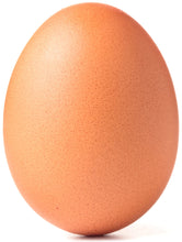 brown Whole Egg standing up