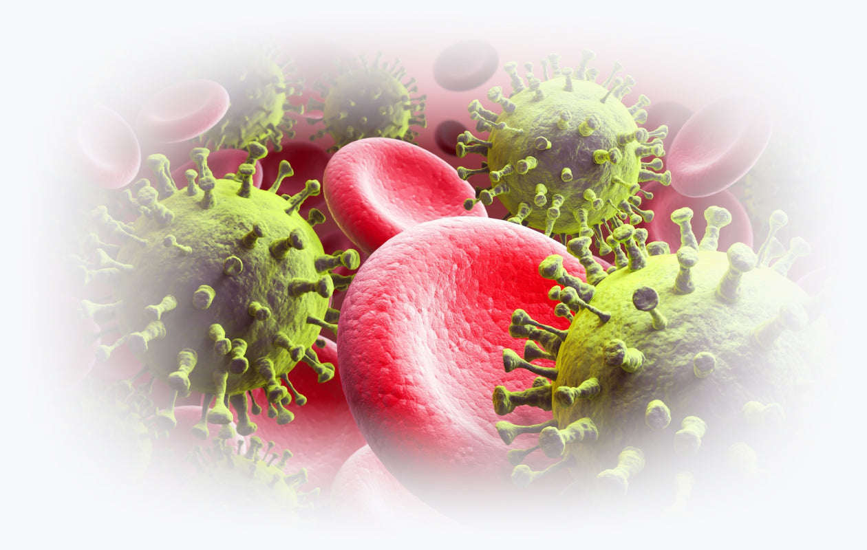 Image of virus and red blood cells
