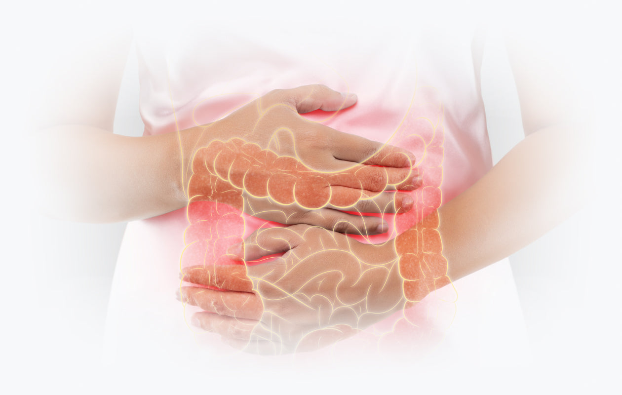 Image of midsection with intestinal overlay depicting a person with Crohn's disease.