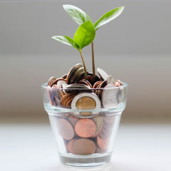 Photo of glass cup filled with coins and 2 small plants sprouting out