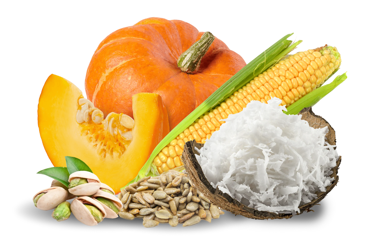 Image of sliced pumpkin, pumpkin seeds, ear of corn, and sliced coconut.